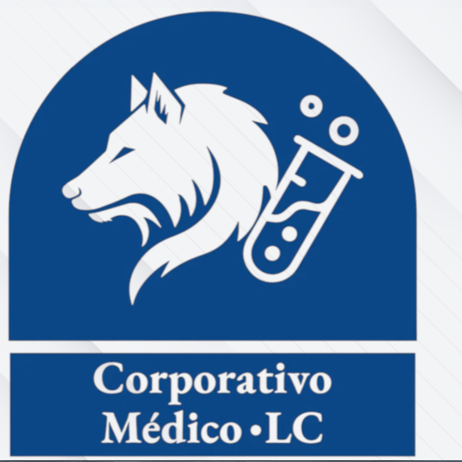 Corporativo Médico LC
